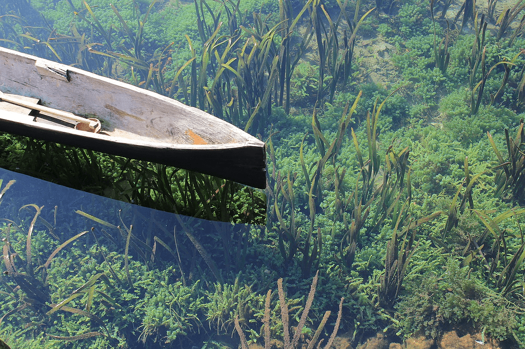 Dugout canoe in clear water
