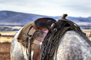 Finding Custom Horse Equipment